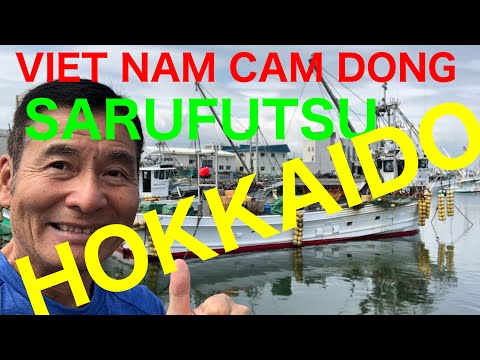 VIET NAM CAM DONG    SARUFUTSU HOKKAIDO