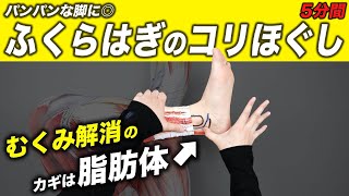 【毎日5分】ふくらはぎをスッキリほぐすルーティン【疲労回復/むくみ解消/柔軟性UP/マッサージ効果】