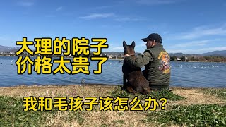 鐵牛旅行記600集/帶著狗在大理找院子沒有希望了，流浪漢跟流浪狗結局會怎麼樣？#狗是人类最忠诚的朋友 #流浪狗 #dog