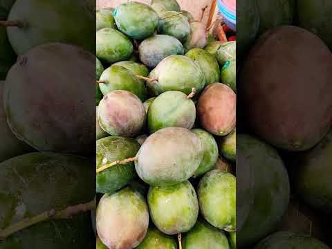 Green mango #mango #greenmango #shortvideo #viralvideo #video #ytshorts #yummy #shortsvideo