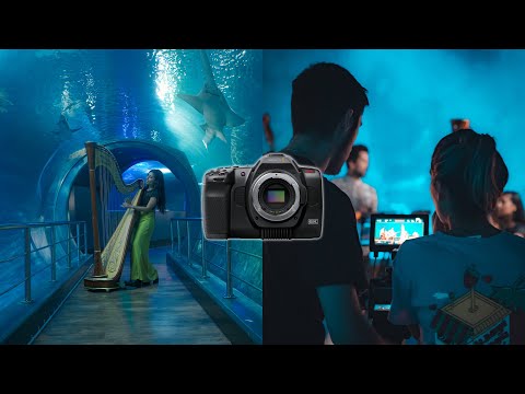 How we shot this music video in an aquarium | Blackmagic Pocket 6K PRO