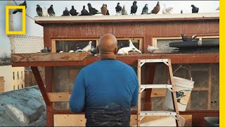 See How Pigeons Saved This Man From a Life on the Streets | Short Film Showcase