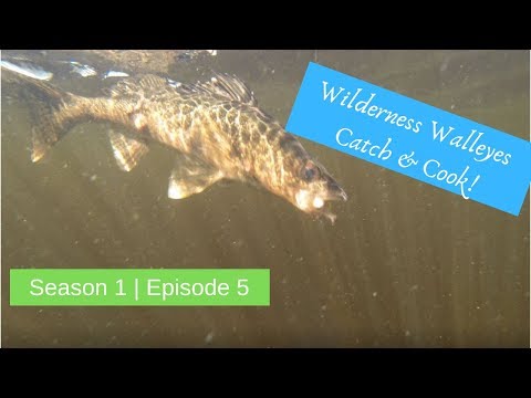 S1 E5 | Wilderness Walleye Fishing/Camping {Catch & Cook!}