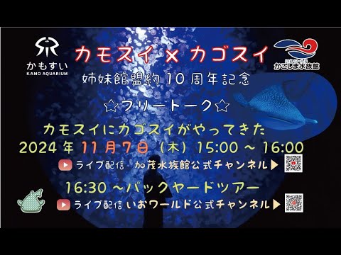 カモスイ×カゴスイ　姉妹館盟約10周年記念　★フリートーク★　カモスイにカゴスイがやってきた