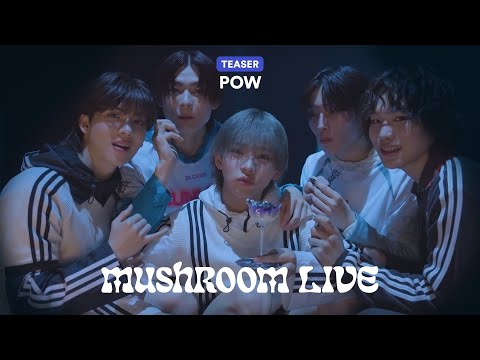 MUSHROOM LIVE S06 파우 POW TEASER