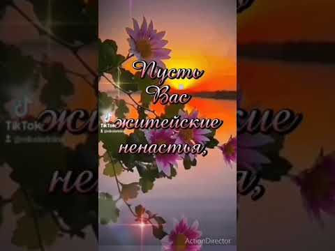 Добрый Вечер. 🕊️🕊️🕊️❤️