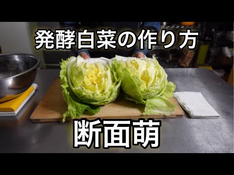 【裏技】白菜がバラバラにならない切り方#shorts