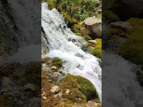 Mossy mountain river #mountains #riversounds #nature #river