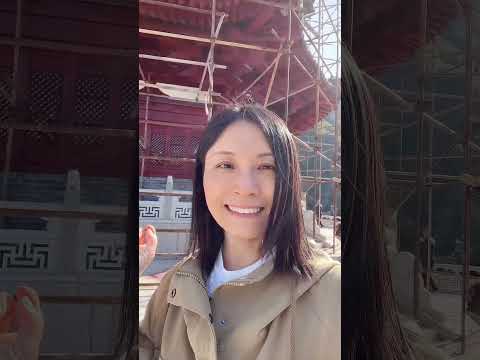 山西的大山 #陸配 #vlog