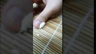 VID 製作貝殼麵