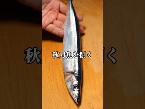 秋刀魚を三枚おろしで捌く #秋刀魚 #三枚おろし #魚の捌き方