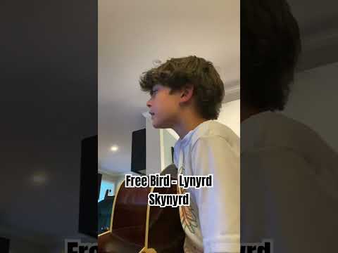 Free Bird - Lynyrd Skynyrd #cover #music #freebird #lynyrdskynyrd #guitar #country