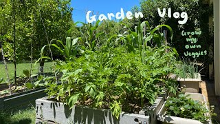 变成森林的院子！开始自给自足的田园生活? Garden vlog, grow my own veggies