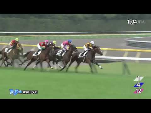 2022/10/10　シンリョクカ　新馬戦