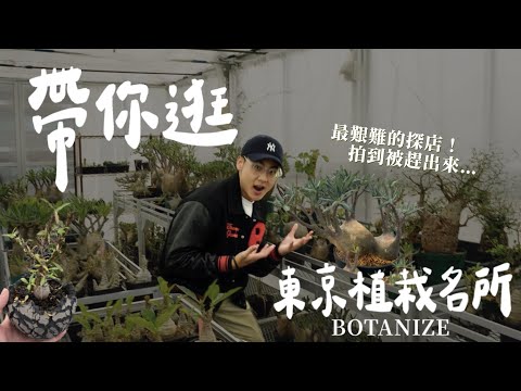 探訪東京植栽名所！夢想の塊根都在這！此趟日本最艱難探店！最後被店員趕出來..😰｜Botanize 白金店【東京特輯🇯🇵Ep03】