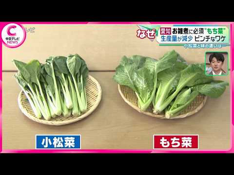 【お雑煮に必須“もち菜”】　生産量が減少…ピンチなワケ　小松菜と味の違いは…？