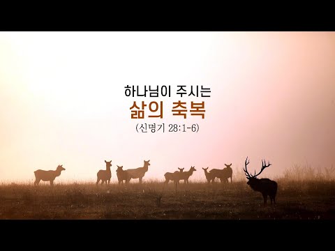 하나님이 주시는 삶의 축복