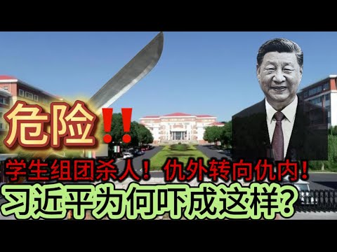 危险！！无锡学生团伙杀人！仇外转向仇内！习近平为何吓成这样？