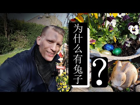 为什么每年春天的时候有小兔子给德国孩子们藏彩蛋？我告诉你们！Why does a bunny hide Easter eggs for German children at Easter?!