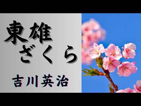 【聴く時代劇　朗読】147　吉川英治「東雄（あずまお）ざくら」