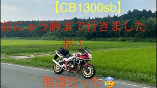 【cb1300sb】滋賀県高島市にあるおにゅう峠に行って来ましたが！酷道だった😰#野生動物に遭遇　#おにゅう峠 #cb1300sb #ツーリング #滋賀県 #酷道 #野生動物　訂正！概要欄をご覧下さい