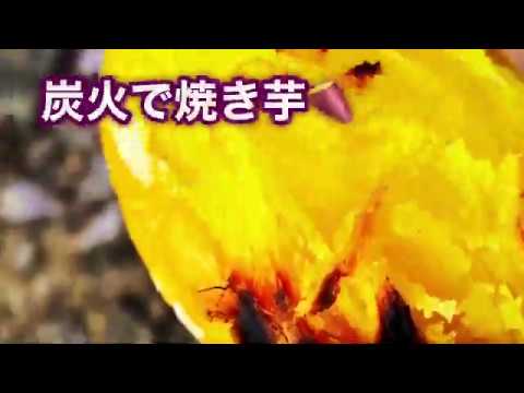 [炭火で焼き芋] 甘くてホクホクのやきいも完成！