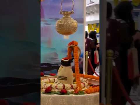 महादेव का मंदिर #mahadevmantra #mahadevstatus #mahadev_status #shiv #shortvideo #shorts