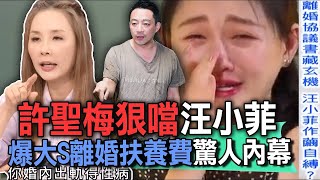 許聖梅狠噹汪小菲！爆大S離婚扶養費驚人內幕【新聞挖挖哇】