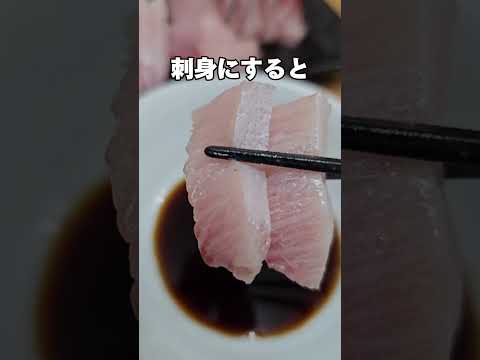 寒ブリのカマトロが美味すぎた #刺身 #鰤 #至高 #sashimi