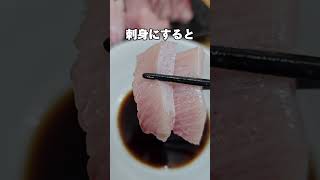 寒ブリのカマトロが美味すぎた #刺身 #鰤 #至高 #sashimi