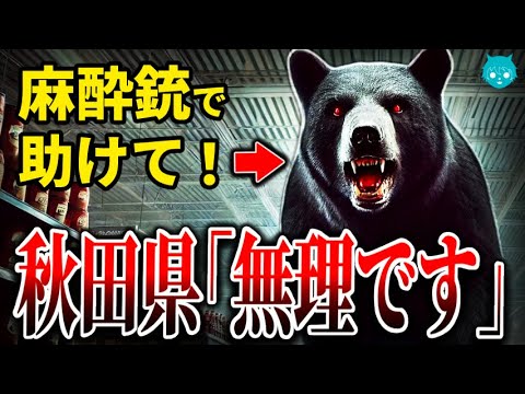 【秋田】クマ駆除クレーマー惨敗…スーパーにクマが侵入しても麻酔銃を撃てない理由