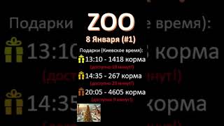 ZOO: График Корма на 8 Января