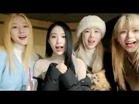 "Somnias, Happy New Year!!" 🐥🦊🐶🥧🐰 | Dreamcatcher