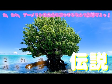 【パラオの神話】ゲルゲクラウ島 伝説の樹