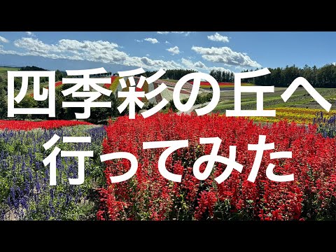 【北海道】四季彩の丘 2024/09/08