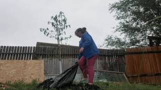 Food Forest Beginnings -- FREE MULCH  #wastenotwantnot #permaculture #beginnergardener