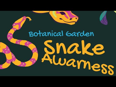 Snake Awareness programme #snake #snakehandling #dangerous #botanicalgarden #hyderabad #1million