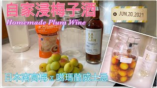 【自家浸梅子酒】HOMEMADE PLUM WINE｜日本南高梅 X 噶瑪蘭威士忌🥃｜Japanese Nankou Plum X KAVALAN Whisky