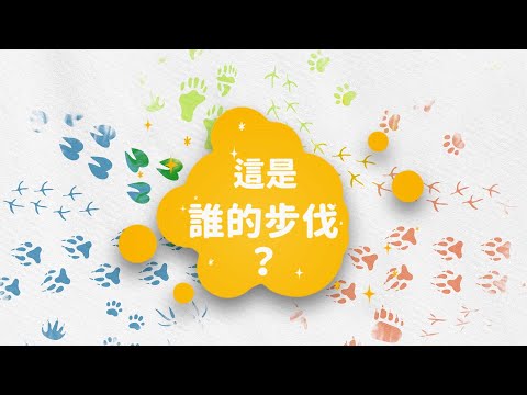 【小小創意家】這是誰的步伐？聽聽不同打擊樂器的音色，猜猜究竟是什麼動物的腳步聲｜朱宗慶打擊樂教學系統