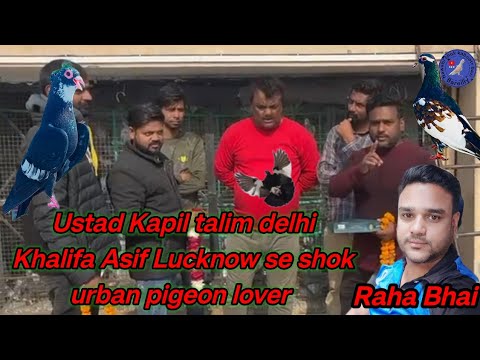 Ustad Kapil talim delhi Khalifa Asif Lucknow se urban pigeon