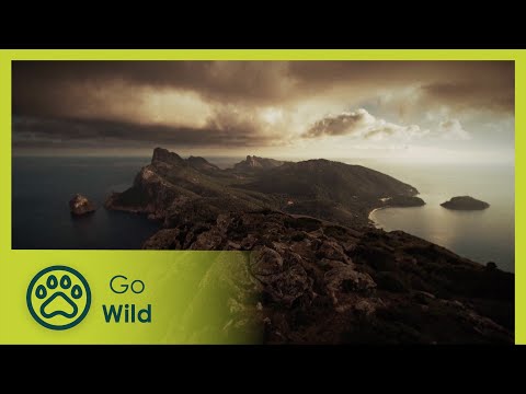 Darwin’s Missed Islands | Go Wild