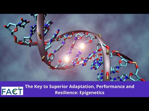 The Key to Superior Adaptation, Performance and Resilience: Epigenetics