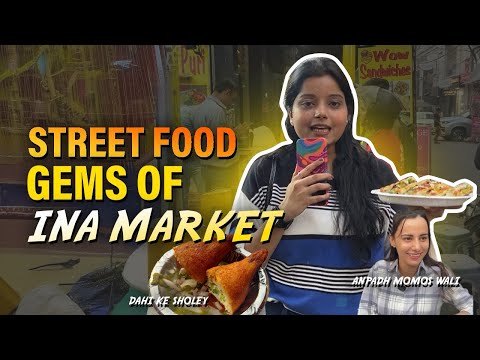 Exploring Street Food at INA Market- Dahi ke Sholey, Anpadh Momos Wali & More