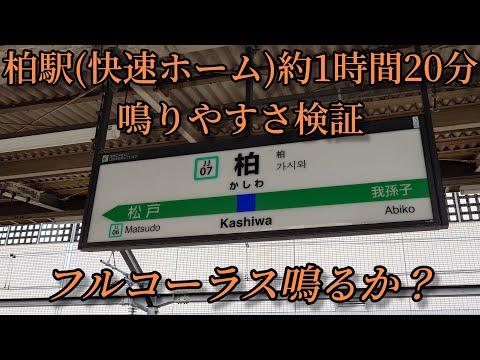 【フルコーラス鳴るか？】柏駅(快速ホーム)で約1時間20分鳴りやすさ検証してみた結果  第29弾