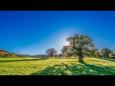 平静静心  解压放松  工作休息  睡觉休息  Ambient  Music   relaxing music