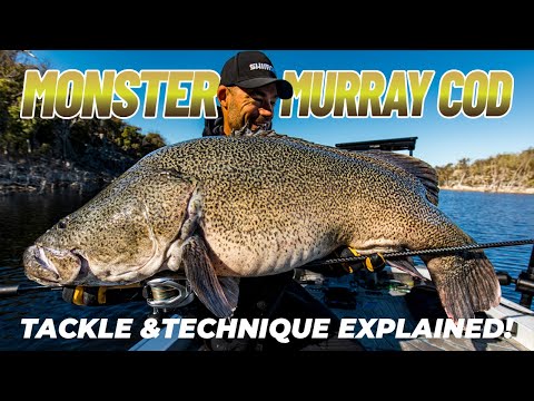 Monster Murray Cod Using Live Sonar | Tackle and technique explained!