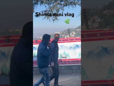 Shimla minni vlog part 1 #shots #punjabi #shimla #minnivlog #shimlatour