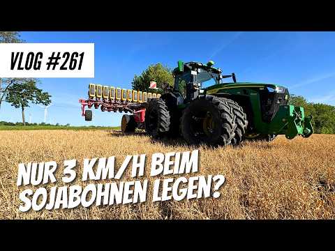 Vlog #261 Re-drilling soybeans with the Tempo and special crops