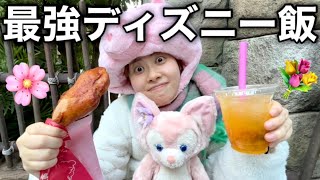 【夢の国で食べ歩き】ディズニー行ったら絶対に食べるべき絶品グルメを紹介しながら今日も元気に爆食する〜ディズニーシー編〜