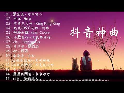 Tiktok【2023抖音流行歌曲排行榜】2小時【動態歌詞 Lyrics】Tiktok 抖音感動洗腦精選神曲必聽 行进份热门歌曲总结 最火最热门洗脑抖音歌.